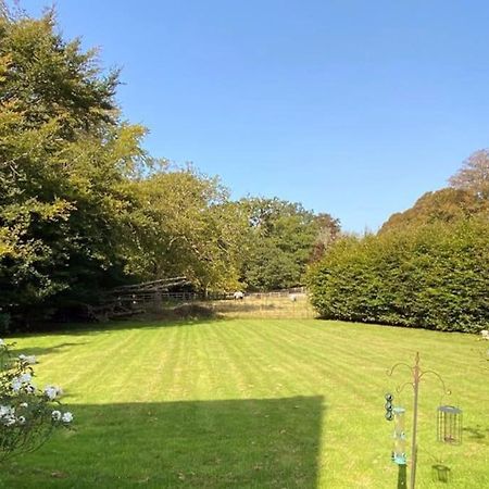 The Dower House At Parnham Park Villa บีอามินสเตอร์ ภายนอก รูปภาพ